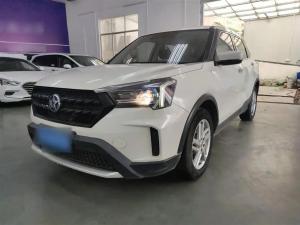 venucia t60 2020 Petrol