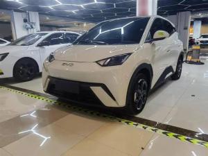 byd seagull 2024 Electric