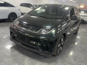 byd dolphin 2022 Electric