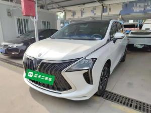 Dongfeng Forthing Forthing Yacht 2022 Petrol