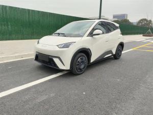 byd seagull 2025 Electric
