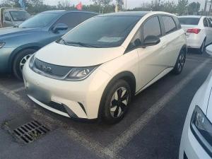 byd dolphin 2024 Electric
