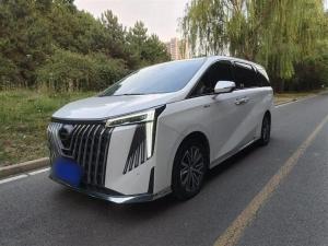 GAC Trumpchi Trumpchi M8 2023 Petrol