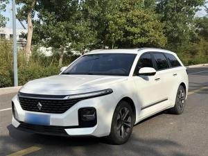 baojun valli 2022 Petrol