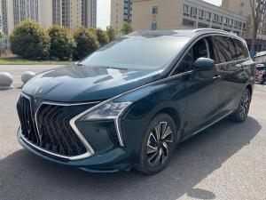 Dongfeng Forthing Forthing Yacht 2022 Petrol