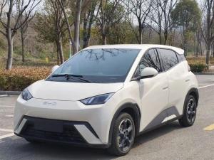 byd seagull 2024 Electric