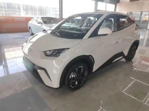 byd seagull 2025 Electric