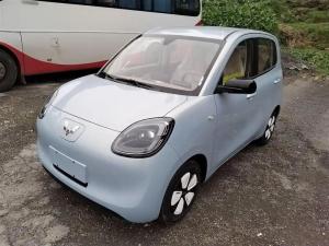 wuling hongguang mini ev 2025 Electric