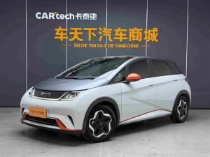 byd dolphin 2021 Electric
