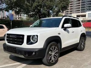 haval dargo 2021 Petrol