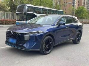 Venucia V-Online 2023 Petrol