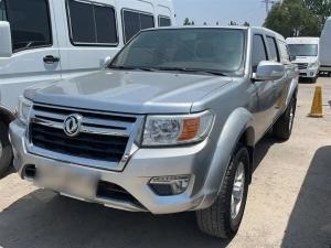 dongfeng ruiqi 2021 Petrol