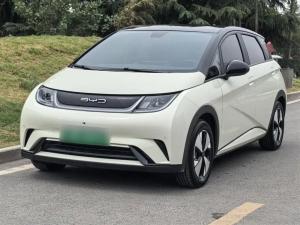 byd dolphin 2023 Electric