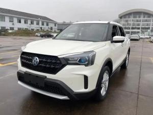 venucia t60 2022 Petrol