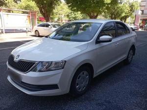skoda rapid 2019 Petrol