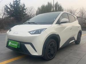 byd seagull 2024 Electric