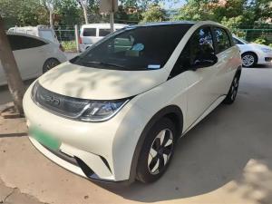 byd dolphin 2024 Electric