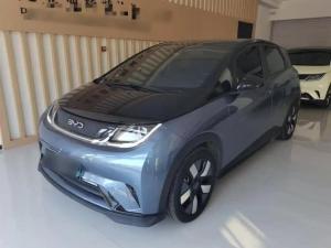 byd dolphin 2024 Electric