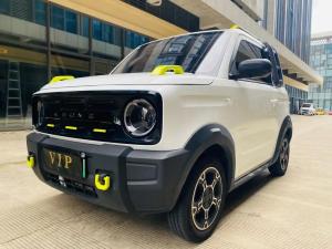 geely panda 2024 Electric