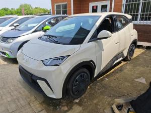 byd seagull 2025 Electric