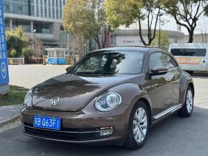 Volkswagen Beetle 2014 Petrol
