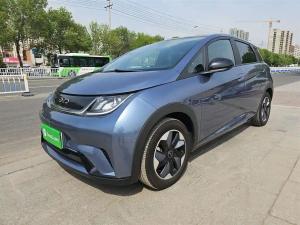 byd dolphin 2024 Electric