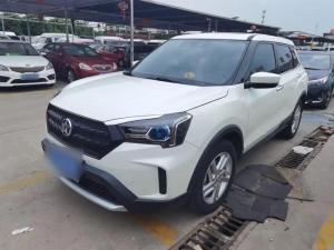 venucia t60 2020 Petrol