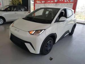 byd seagull 2025 Electric