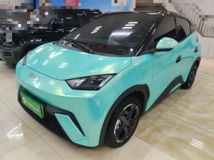 byd seagull 2024 Electric