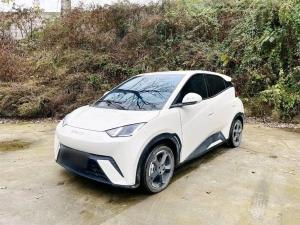 byd seagull 2023 Electric