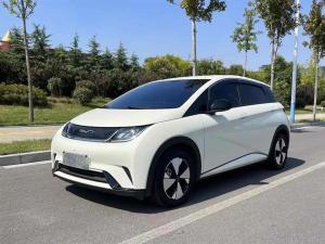 byd dolphin 2023 Electric