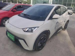 byd seagull 2024 Electric