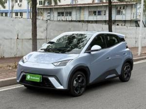 byd seagull 2024 Electric