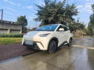 BYD Seagull 2025 Electric