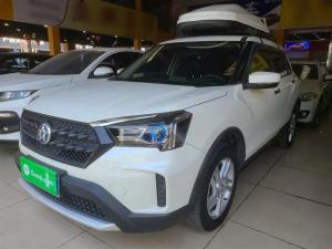 venucia t60 2020 Petrol