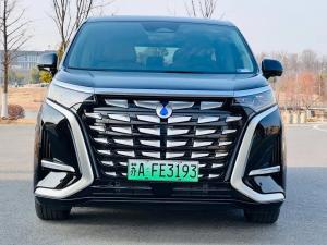 denza d9 2024 Plug-in hybrid