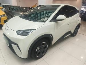 byd seagull 2024 Electric
