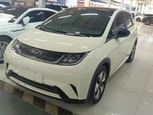 byd dolphin 2024 Electric