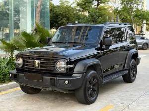 tank 300 2024 Petrol