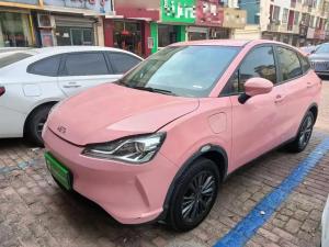 neta v 2022 Electric