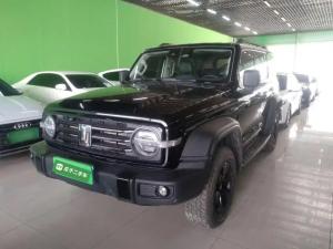 tank 300 2023 Petrol