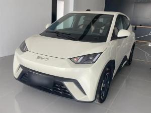 byd seagull 2024 Electric