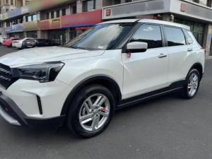 Venucia T60 2022 Petrol