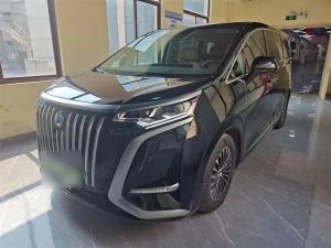 denza d9 2023 Electric