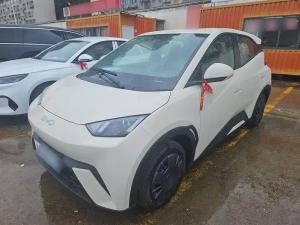 byd seagull 2025 Electric