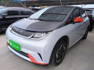 byd dolphin 2021 Electric