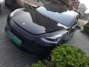 tesla model 3 2020 Electric