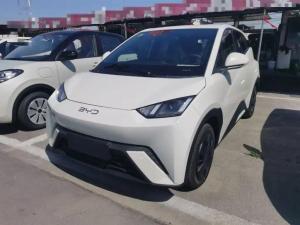 BYD Seagull 2025 Electric
