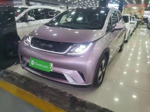 byd dolphin 2023 Electric
