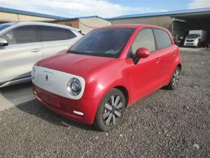 ora black cat 2021 Electric